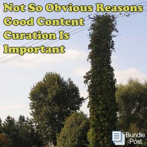 Reasons Good Content Curation Is Important